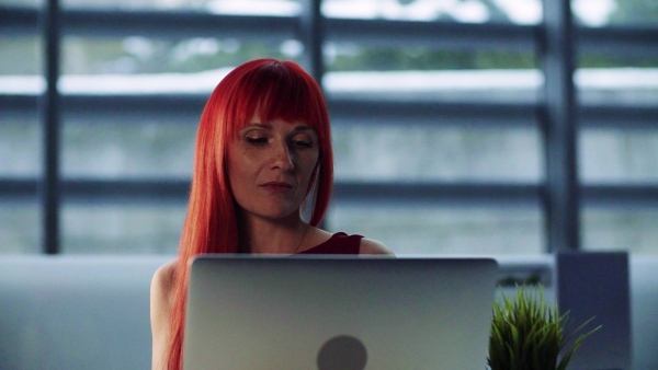 A portrait of mature businesswoman sitting at desk in office, using laptop. Slow motion.