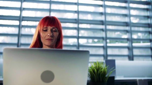 A portrait of mature businesswoman sitting at desk in office, using laptop. Slow motion.