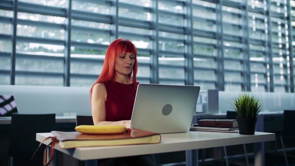 Mature businesswoman sitting at desk in office, using laptop. Slow motion.