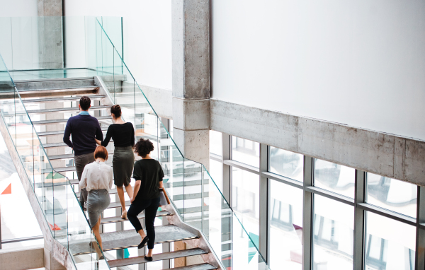 A rear view of group of young businesspeople walking up the stairs.