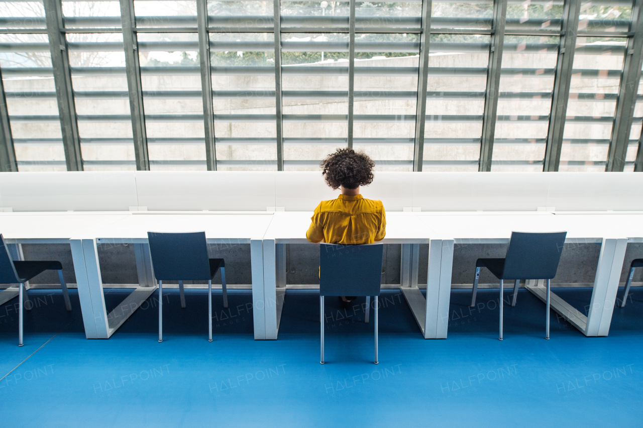 Rear view of young student or businesswoman sitting at desk in room in a library or office. Copy space.