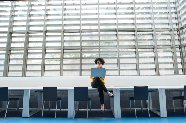 A portrait of a young student or businesswoman sitting on desk in room in a library or office, using laptop.