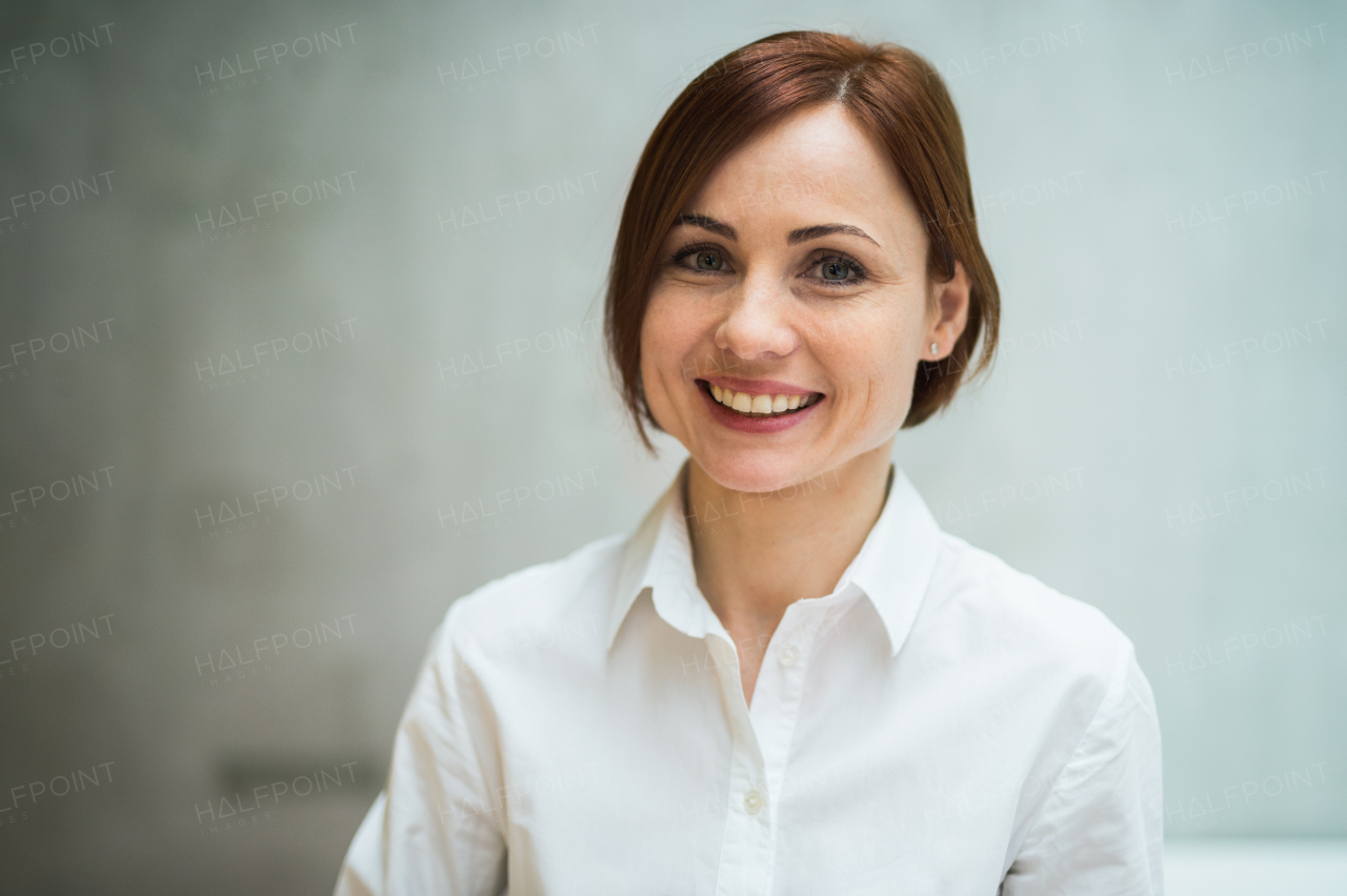 A portrait of young cheerful businesswoman standing in office, looking at camera.