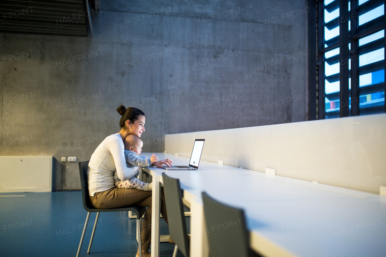 A side view of a young student mother or businesswoman sitting on desk with a baby in room in a library or office, using laptop.