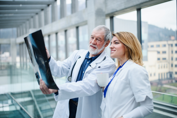 Group of doctors looking at X-ray on medical conference, discussing issues.