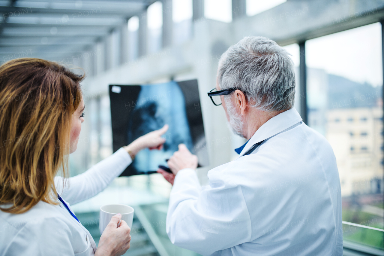 Rear view of doctors looking at X-ray on medical conference, discussing issues.