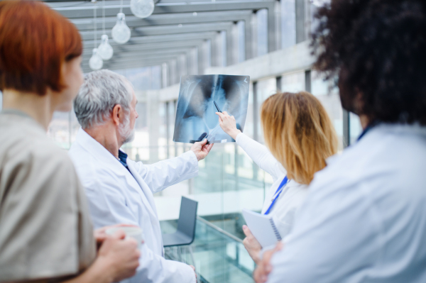 A group of doctors talking about corona virus on conference, rear view.