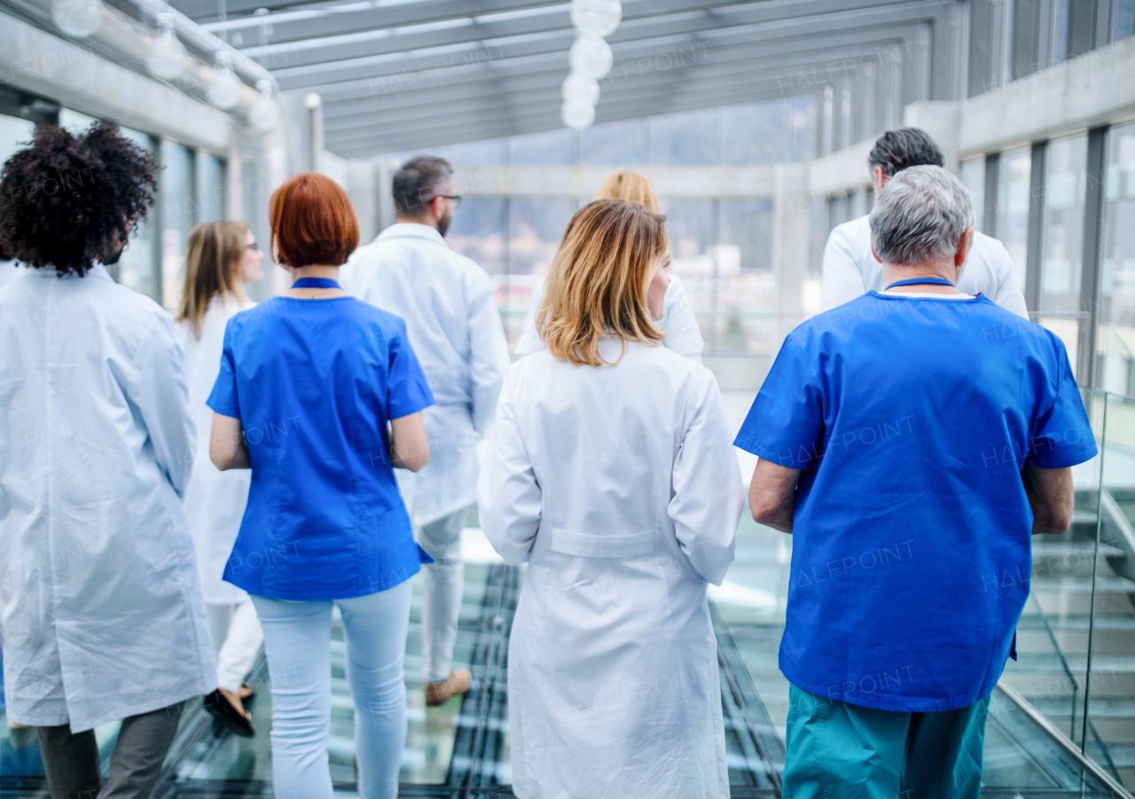 Rear view of group of unrecognizable doctors walking in corridor on conference.