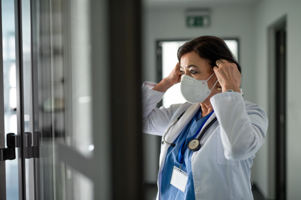 A portrait of senior woman doctor putting on respirator in hospital, coronavirus concept.