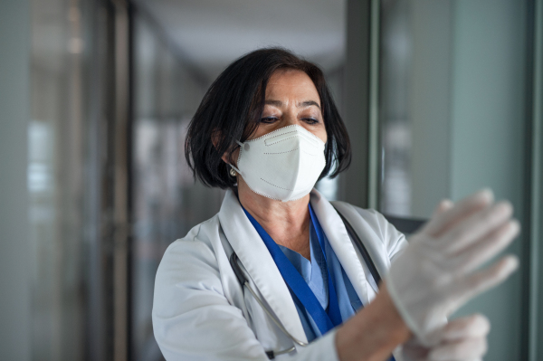 A portrait of senior woman doctor putting on gloves in hospital, coronavirus concept.