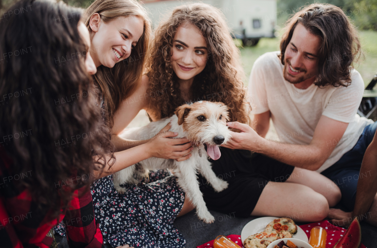 A close-up of group of young friends with a dog sitting in countryside.