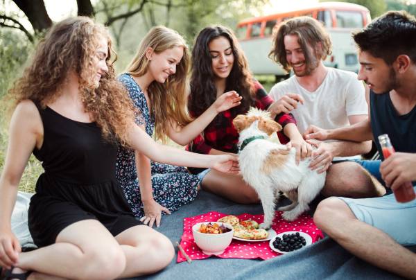 A group of young cheerful friends with a dog having picnic on a roadtrip through countryside.