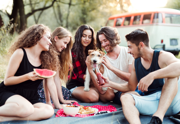 A group of young friends with a dog sitting on ground on a roadtrip through countryside, eating.