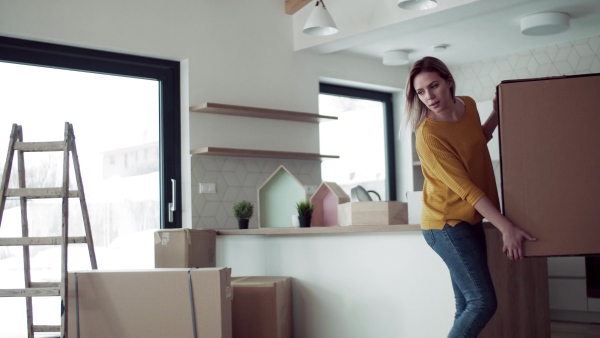 A young happy couple furnishing new house, carrying a large box. A moving in new home concept.