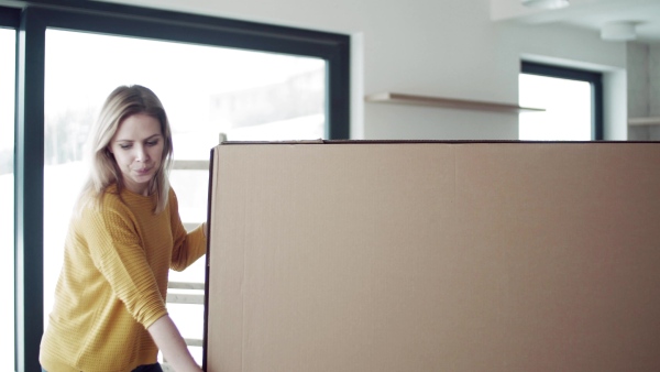 A young happy couple furnishing new house, carrying a large box. A moving in new home concept.