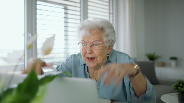 Senior woman with eyeglasses at home celebrating in front of her laptop.