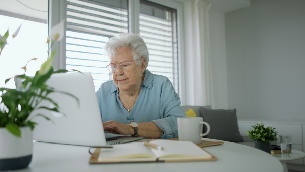 Senior woman with eyeglasses at home working on her laptop and looking at camera. Home office concept.