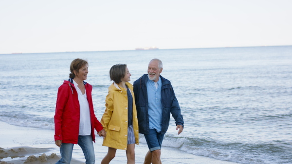 A happy senior couple with granddaughter on walk outdoors on beach at morning.