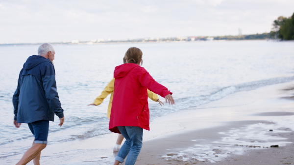 A happy senior couple with granddaughter on walk outdoors on beach at morning, running and having fun.