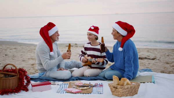 A happy senior couple with granddaughter on beach, having a christmas picnic.