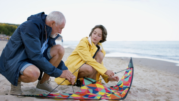 A grandfather with granddaughter on walk on beach at morning, preparing a kite.