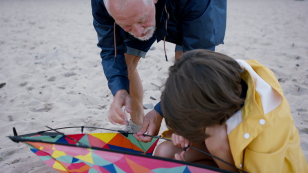 A grandfather with granddaughter on walk on beach at morning, preparing a kite.