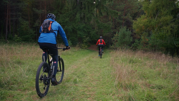 A rear view of active senior couple riding bikes outdoors in nature in autumn day.