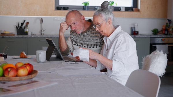 A worried senior couple checking their bills at home