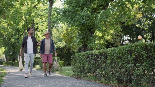 A senior man with his mature son carrying shopping bags and walking outdoors in park.