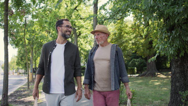 A senior man with his mature son carrying shopping bags and walking outdoors in park.