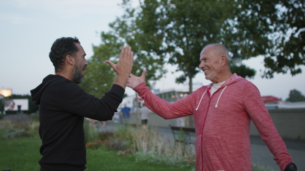 A happy senior man with his mature son exercising together in park.