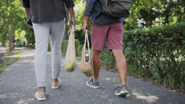 A senior man with his mature son carrying shopping bags and walking outdoors in park, rear view, lowsection