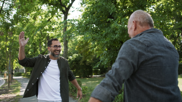 A happy senior man with his mature son meeting and greeting in park.