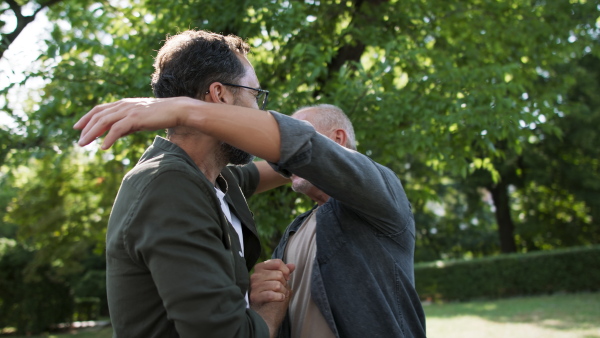 A happy senior man with his mature son meeting and greeting in park.