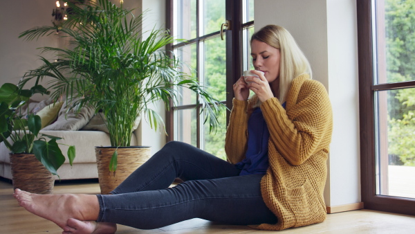 A young woman in sweater holding tea cup and sitting on floor indoors at home.