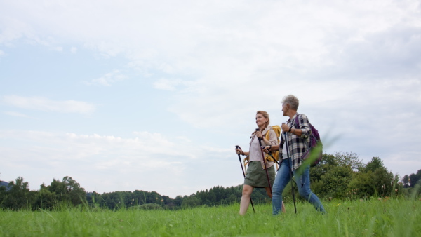 A low angle view of mid adult woman with trekking poles hiking with active senior mother outdoors in nature.