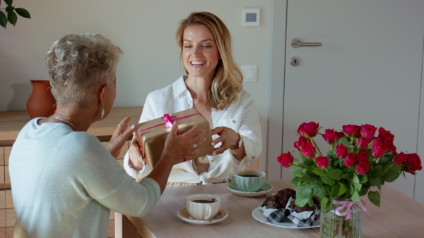 Happy adult daughter giving present to senior mother indoors at home, mothers day or birthday celebration.