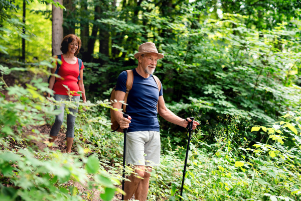 A senior tourist couple with backpacks on a walk in forest in nature.