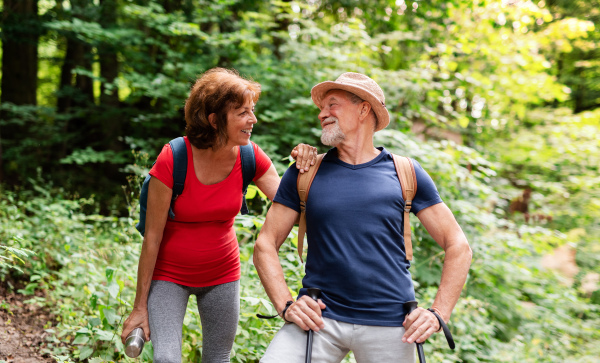 A senior tourist couple with backpacks on a walk in forest in nature.