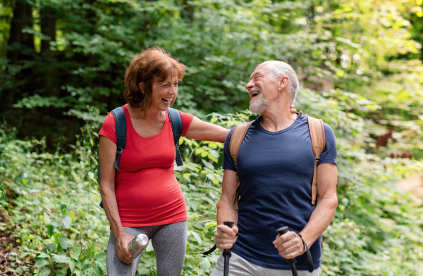 A senior tourist couple with backpacks on a walk in forest in nature.