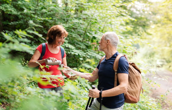 A senior tourist couple with backpacks on a walk in forest in nature.