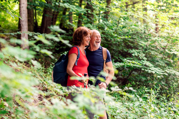 A senior tourist couple with backpacks on a walk in forest in nature.