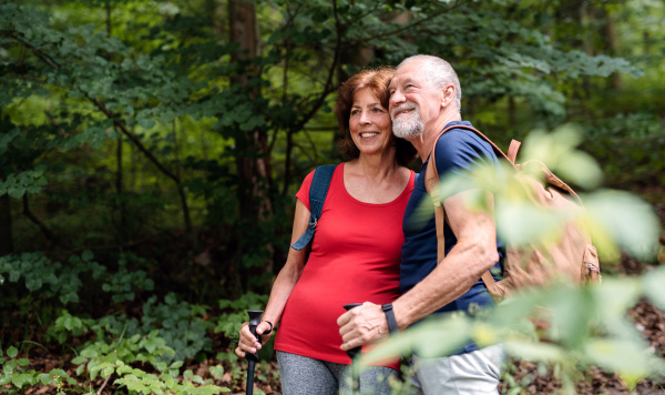 A senior tourist couple with backpacks on a walk in forest in nature.