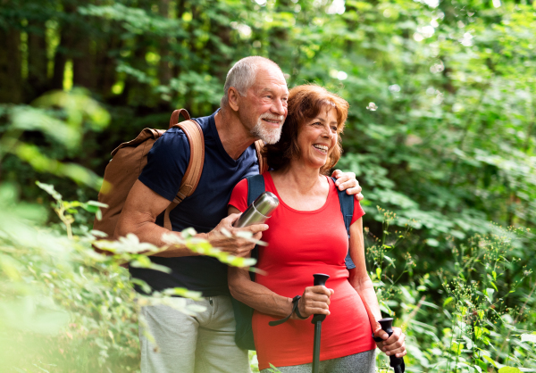 A senior tourist couple with backpacks on a walk in forest in nature.