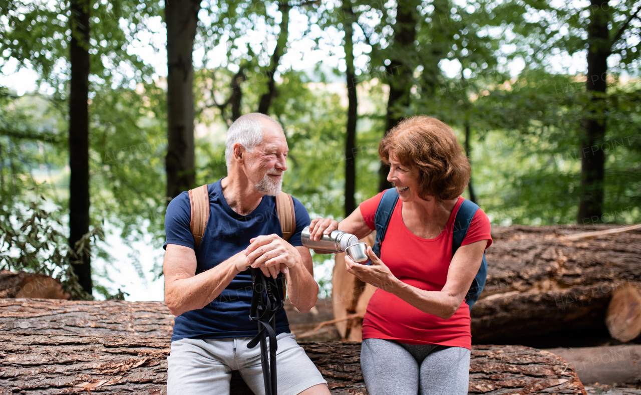 Senior tourist couple with steel flask on a walk in forest in nature, sitting and drinking.