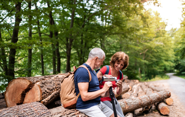 Senior tourist couple with steel flask on a walk in forest in nature, sitting and drinking.