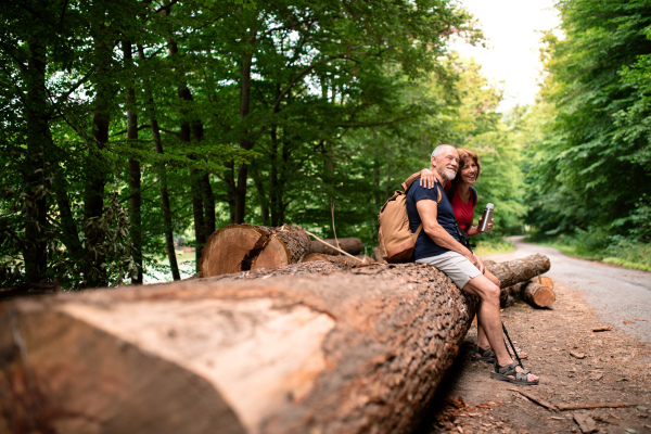 Senior tourist couple with backpacks in forest in nature, sitting on log. Copy space.