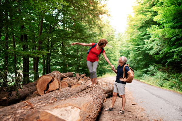 A senior tourist couple with backpacks walking in forest in nature.