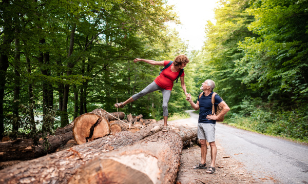 A senior tourist couple with backpacks walking in forest in nature.