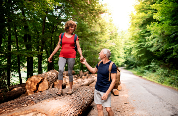 A senior tourist couple with backpacks walking in forest in nature.